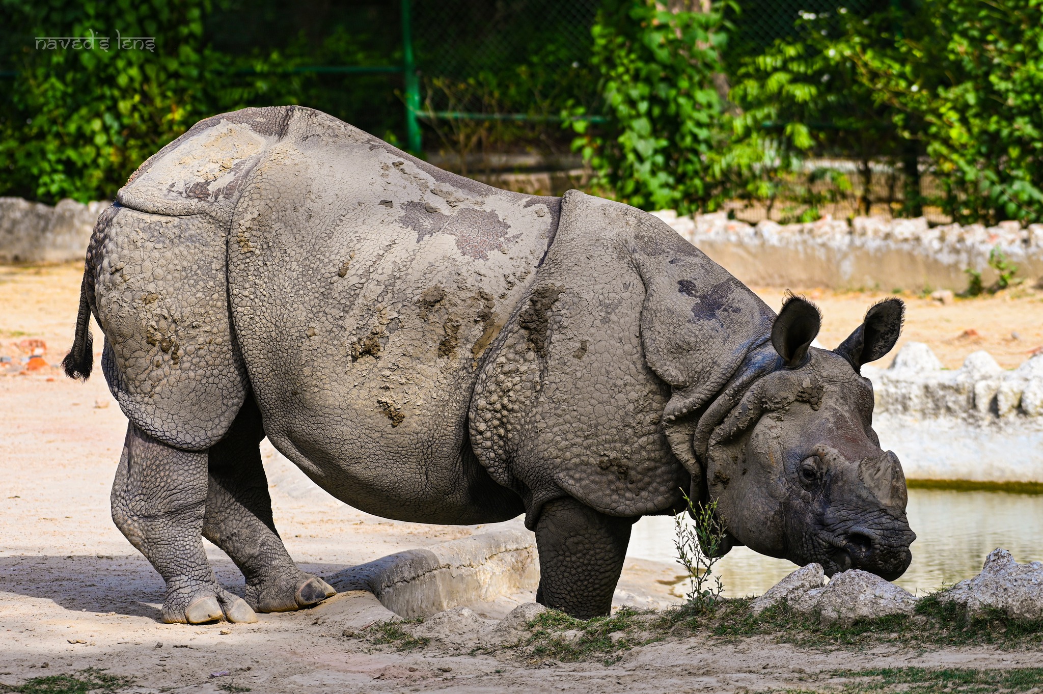 351111167_3090281867941711_1561759556634364473_n