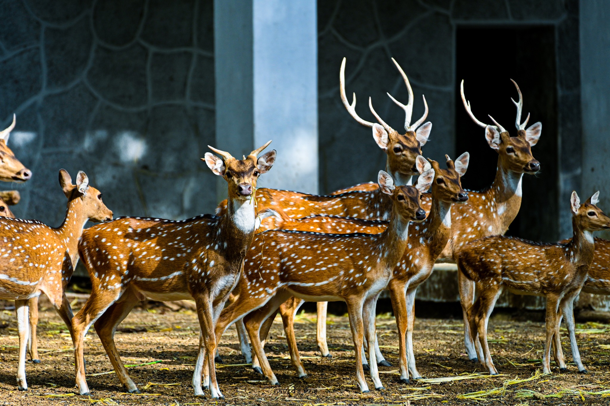 351140539_770331581478367_4083360991150161421_n