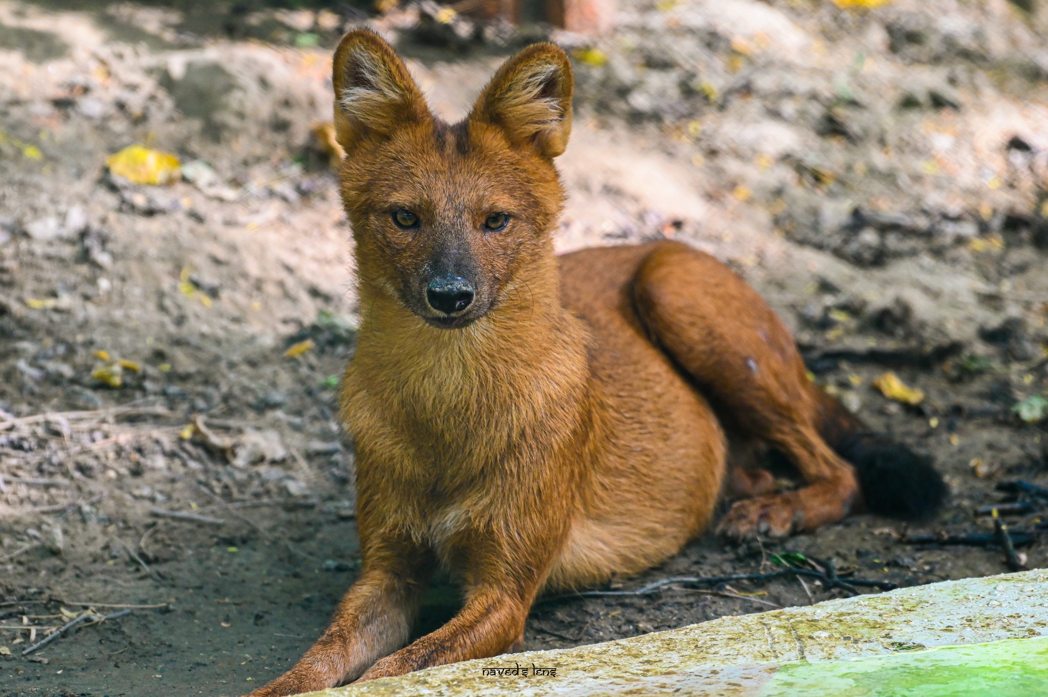 351319630_272859741862327_8611917272552573933_n