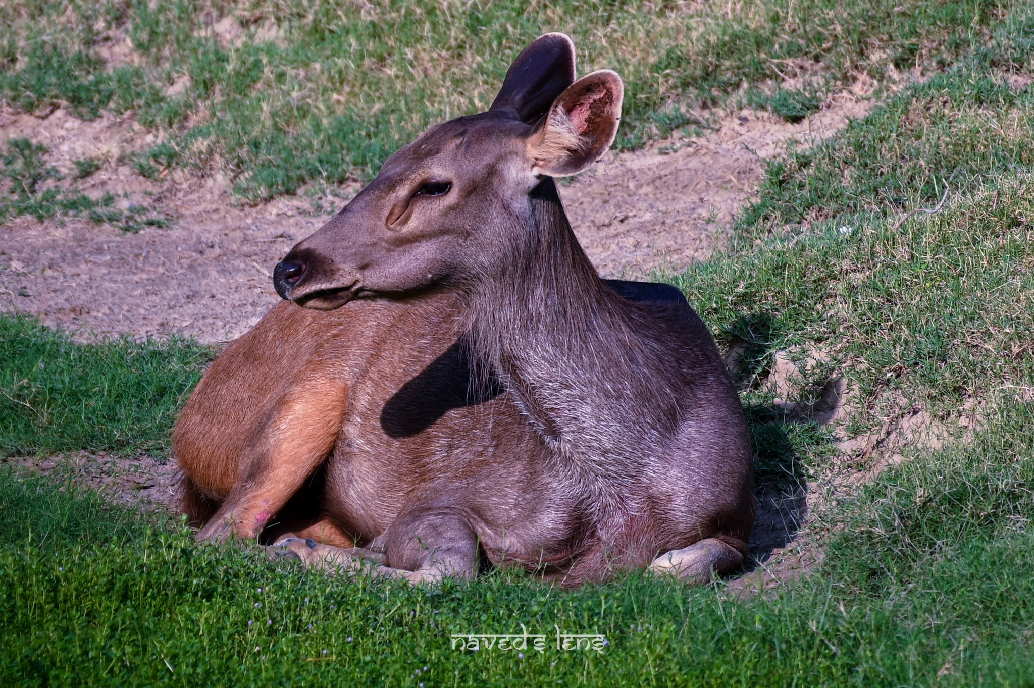 353041754_10224764827812370_1164308624685308238_n