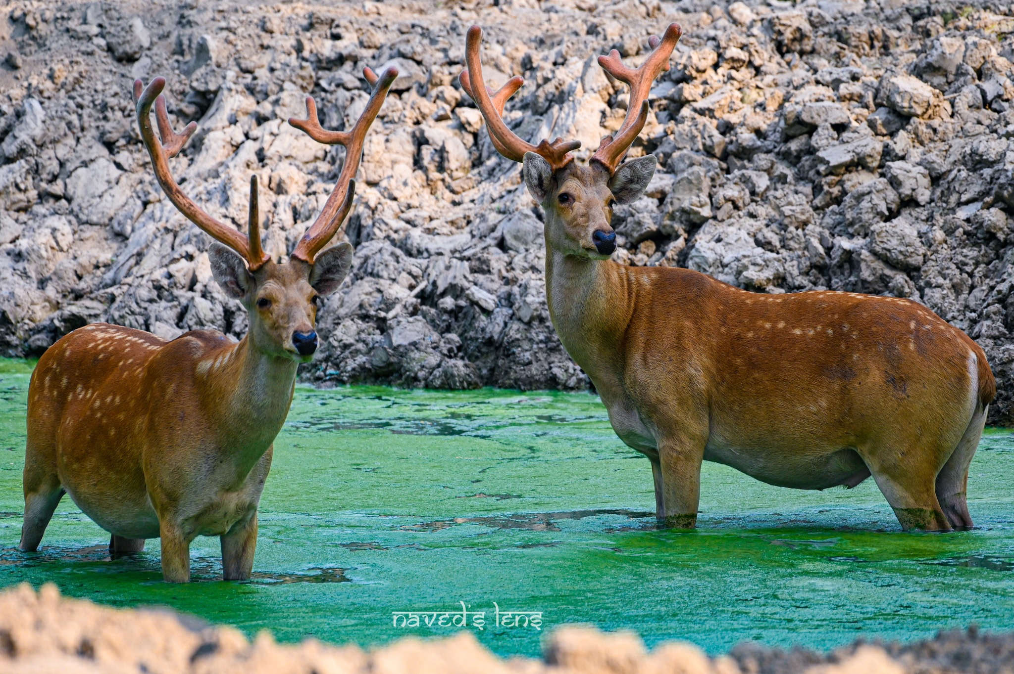 356860157_10224870343330192_6678335362283453095_n