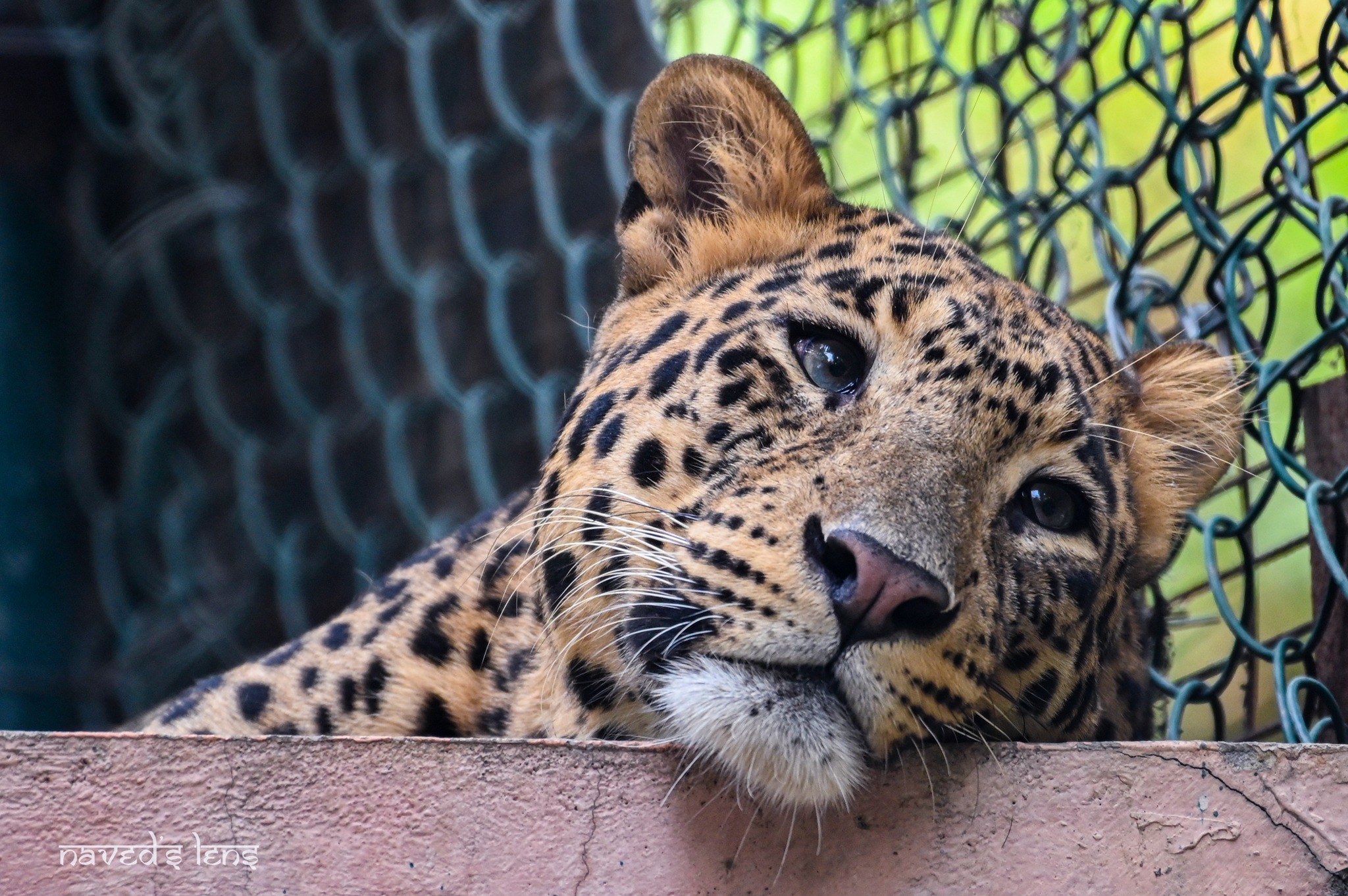 391662953_10225614388730862_1668149170324141254_n