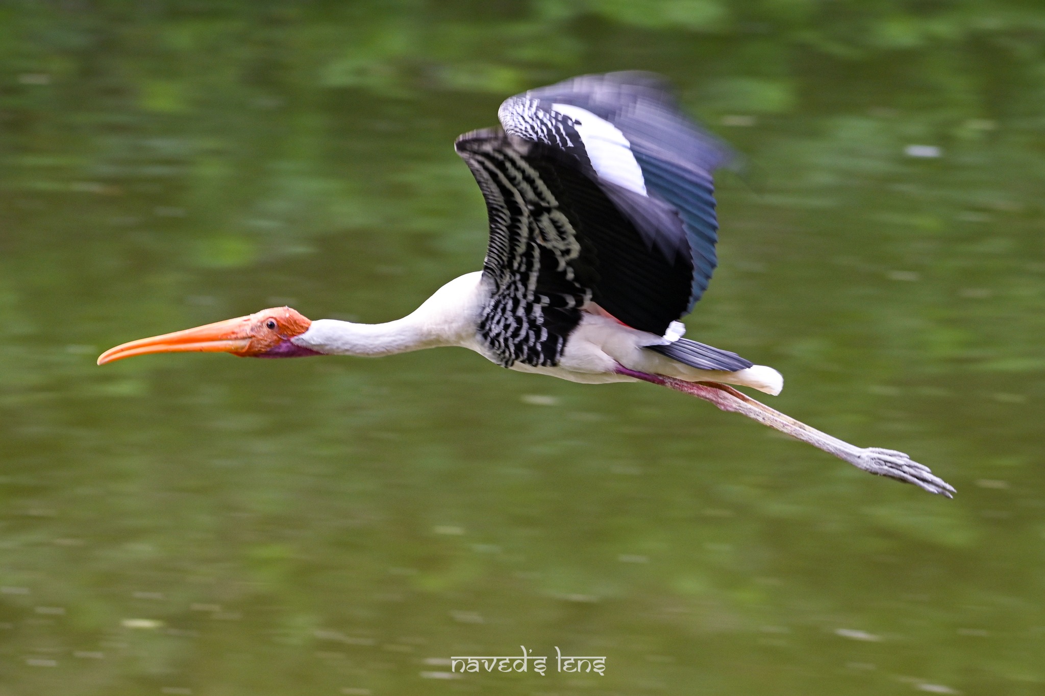 464789471_10227902479251695_2186453751415635966_n